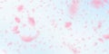 Sakura petals falling down. Romantic pink flowers falling rain. Flying petals on blue sky wide backg