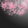 Sakura petals falling down. Romantic pink flowers semicircle. Flying petals on transparent square ba