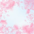 Sakura petals falling down. Romantic pink flowers vignette. Flying petals on blue sky square backgro