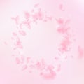 Sakura petals falling down. Romantic pink flowers vignette. Flying petals on pink square background.