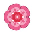 sakura pink flower decoration Royalty Free Stock Photo