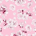 Seamless pattern with spring flowers of white sakura on pink background.