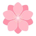 Sakura, plum, apple blossom, flower, isolated.