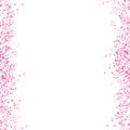 Sakura scatter pink leaves petal falling concept on white abstra