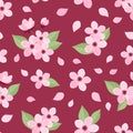 Sakura seamless pattern with flowers, buds and leaves on dark pink background. Vector Royalty Free Stock Photo