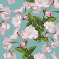 Sakura. Seamless pattern. Pink Cherry blossom branches with leaves.