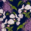 Sakura. Seamless pattern. Pink Cherry blossom branches with lilac.