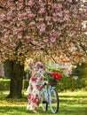 Sakura season. Romantic bike ride. Tourism concept. Transportation and travel. Girl long dress retro cruiser bicycle Royalty Free Stock Photo