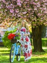 Sakura season. Tourism concept. Transportation and travel. Girl long dress retro cruiser bicycle sakura tree. Spring Royalty Free Stock Photo