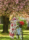 Sakura season. Tourism concept. Transportation and travel. Girl long dress retro cruiser bicycle sakura tree. Spring Royalty Free Stock Photo