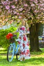 Sakura season. Tourism concept. Transportation and travel. Woman with tulips bouquet. Sakura tree blooming. Romantic Royalty Free Stock Photo