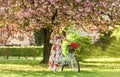 Sakura season. Woman with tulips bouquet. Sakura tree blooming. Romantic bike ride. Girl long dress retro cruiser Royalty Free Stock Photo