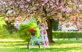 Sakura season. Woman with tulips bouquet. Sakura tree blooming. Romantic bike ride. Girl long dress retro cruiser Royalty Free Stock Photo