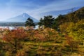 Sakura at Shoji lake with Mt. Fuji Royalty Free Stock Photo