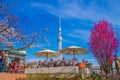 Sakura and Tokyo Sky Tree