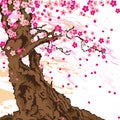 Sakura tree