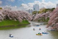 Sakura tree with blooming in Chidorigafuchi park