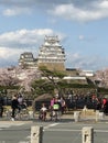 Sakura tree with cloud sky at Himeji castle