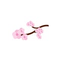 Sakura tree flower foliage culture japan icon