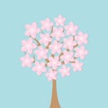 Sakura tree flowers Japan blooming cherry blossom set Blue background Royalty Free Stock Photo