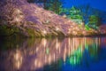 Sakura tree with river reflection at night