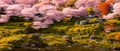 Sakura trees bloom and fuji, spring landscape,