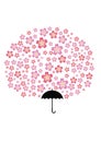 Sakura Umbrella Tree