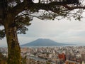 Sakurajima Volcano Behinf a Tree in Kagoshima Royalty Free Stock Photo