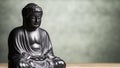 Sakyamuni Buddha sculpture Royalty Free Stock Photo