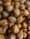 Salacca zalacca, Salak fruit Royalty Free Stock Photo