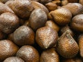 Salacca zalacca, Salak fruit Royalty Free Stock Photo