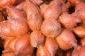 Salacca zalacca, sweet and red sour tropical fruit in fruit stall, Thailand