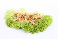 Salad Royalty Free Stock Photo