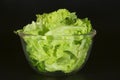 Salad Royalty Free Stock Photo
