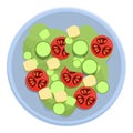 Salad airline food icon, cartoon style