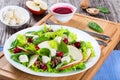 Salad of apple, spinach, mozzarella, lettuce leaves, caramelize Royalty Free Stock Photo