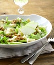 Salad with apples and cheese Royalty Free Stock Photo