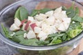salad with apples and cheese Royalty Free Stock Photo