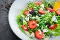 Salad. Salad of arugula, blue cheese, strawberries and blueberries. Royalty Free Stock Photo