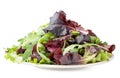 Salad of arugula leaves and red beets in a plate on a white. Isolated Royalty Free Stock Photo