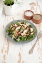 Salad with arugula, shrimps, parmesan cheese and pine nuts Royalty Free Stock Photo