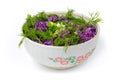 Salad ÃÂauliflower Royalty Free Stock Photo