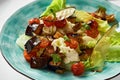 Salad with baked eggplant and ricotta cheese, close-up, fresh taste of soft ricotta cheese with lettuce leaves and Royalty Free Stock Photo