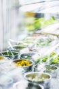 Salad bar buffet fresh mixed vegetables display