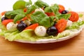 Salad with basil, mozzarella, olives and tomato Royalty Free Stock Photo