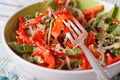 Salad with bean sprouts, peppers and sesame seeds closeup. horiz Royalty Free Stock Photo