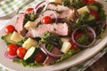 Salad with beef, cheese and fresh vegetables with chimichurri sa Royalty Free Stock Photo