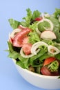 Salad on blue Royalty Free Stock Photo