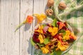 Salad of boiled beets, nasturtium and walnuts. Nice vegetarian dish. Close up. Blur and selective focus