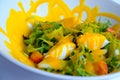 Salad, bright colors Royalty Free Stock Photo